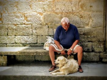 Raças de cachorro para idosos – Confira 7 das mais indicadas!