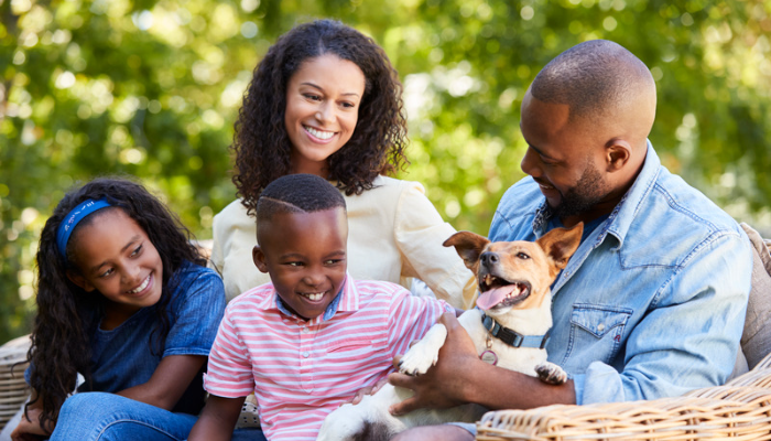 Cão para família - Como fazer a escolha certa