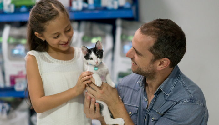 Adoção de animais - Como tomar a decisão certa