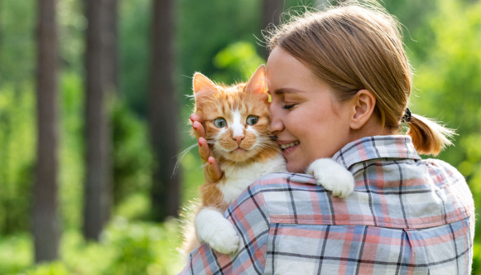 Gato como animal de estimação - Quais as vantagens