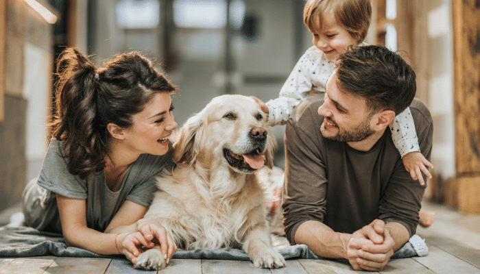 Benefícios de ter um Cão: Melhora da Saúde e Bem-estar