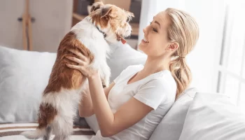 Animais de Estimação Quais os Benefícios para a Saúde Mental