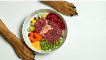 Alimentação Natural Para Cães Refeições Seguras e Nutritivas