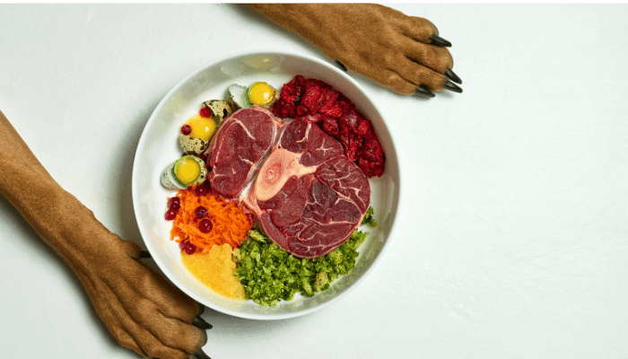 Alimentação Natural Para Cães Refeições Seguras e Nutritivas