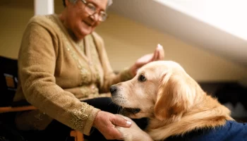 Terapia Canina De Patas a Sorrisos em Hospitais e Lares de Idoso