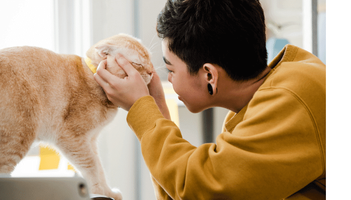 Interação com Pets e os Benefícios para Saúde