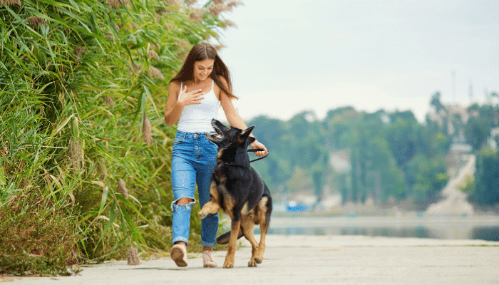 Ansiedade Canina Como Melhorar Essa Condição