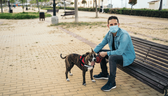 Impacto da Pandemia na Saúde Mental dos Cães e Gatos