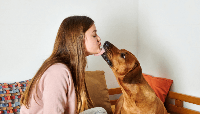 Lambida de Pet Pode Fazer Mal Para a Saúde Bucal