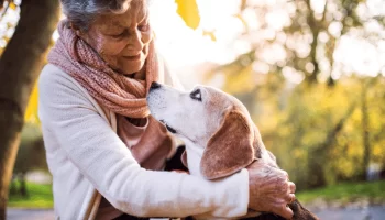 Cães e Gatos Idosos Como Cuidar com Amor e Dedicação